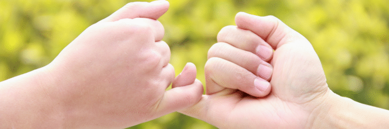Belediye Başkan Adaylarının Vaat Ettikleri Projeler